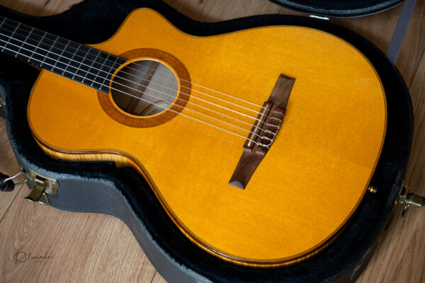 2003 Taylor NS62-CE Nylon