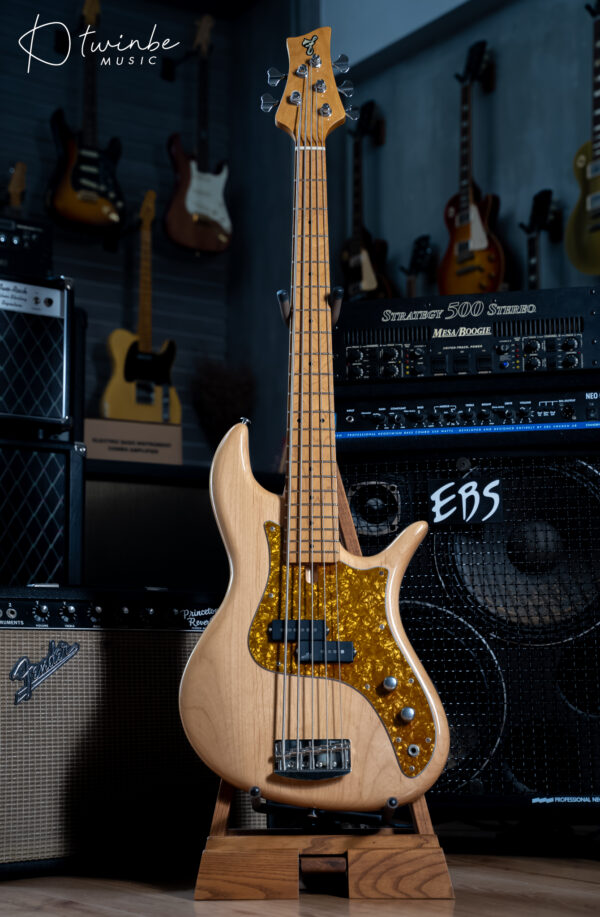 FBass Custom VP-5 Passive - Image 3