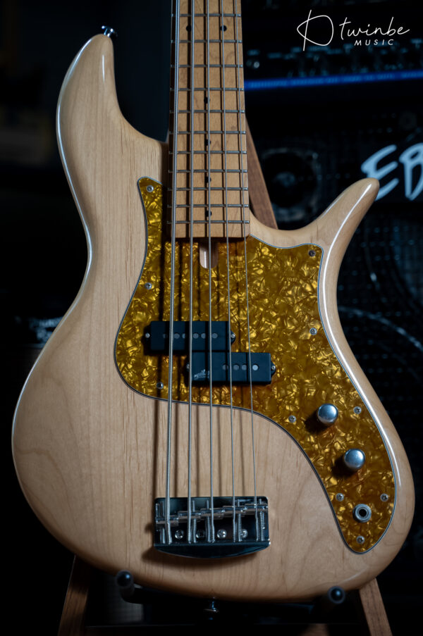 FBass Custom VP-5 Passive - Image 6