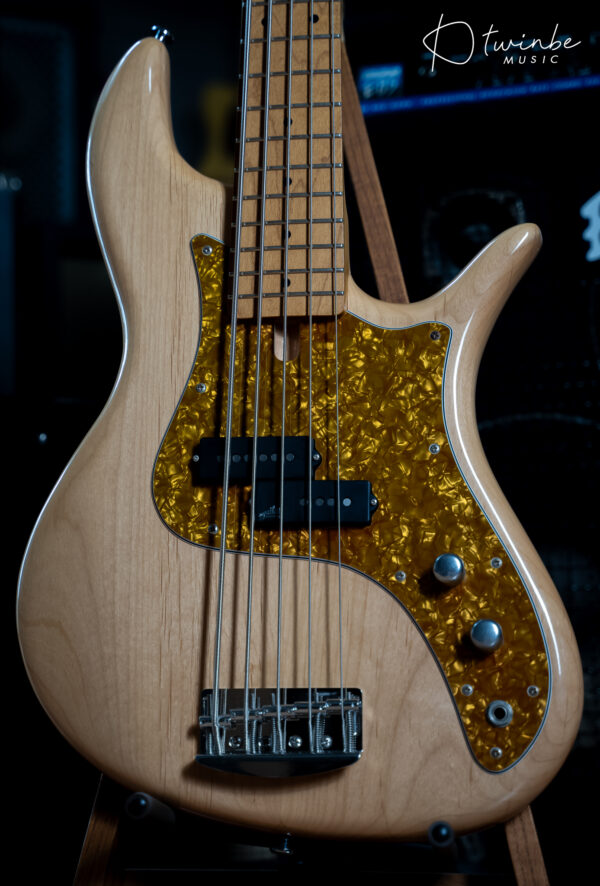 FBass Custom VP-5 Passive - Image 5