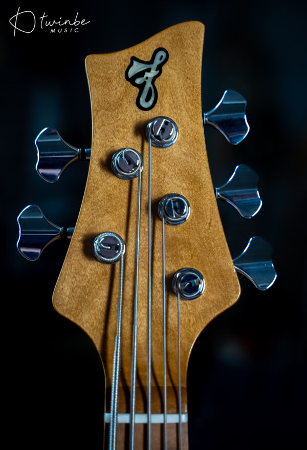 FBass Custom VP-5 Passive - Image 4