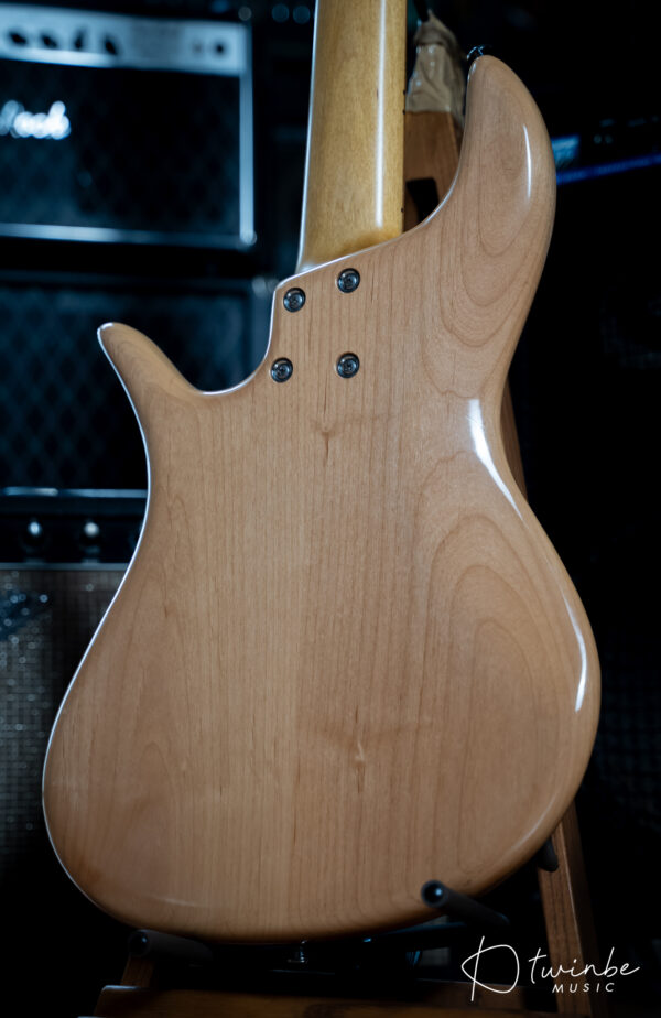 FBass Custom VP-5 Passive - Image 9