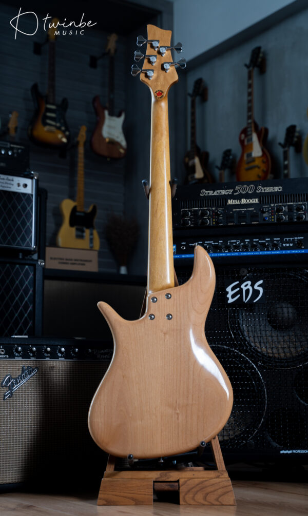 FBass Custom VP-5 Passive - Image 7