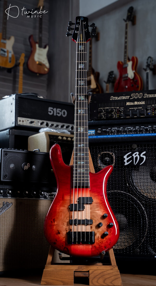Spector Euro 5 CST Natural Red Burst Gross - Image 3