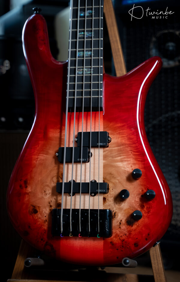 Spector Euro 5 CST Natural Red Burst Gross - Image 6