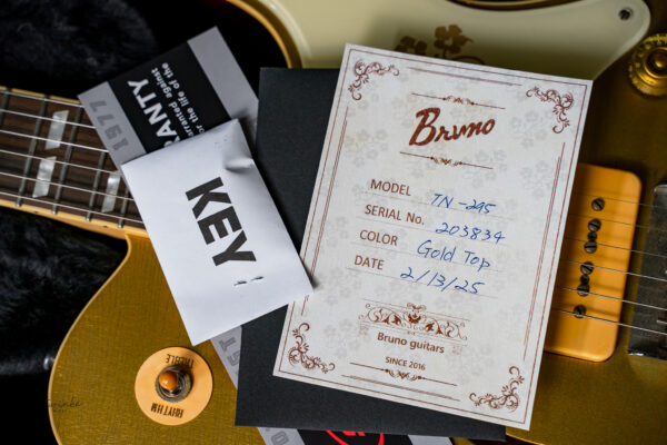 Bruno Guitars TN-295 Relic Brass Powder Gold - Image 8