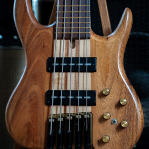 Aden Bass 5strings Headless Short Scale