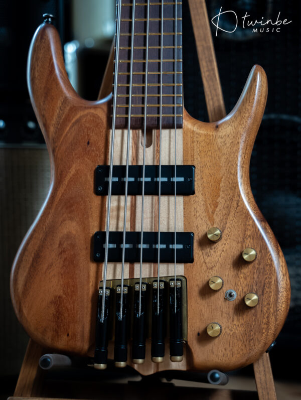Aden Bass 5strings Headless Short Scale