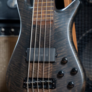 Thailand Custom Warwick Style 5 String Bass