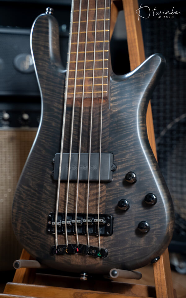 Thailand Custom Warwick Style 5 String Bass