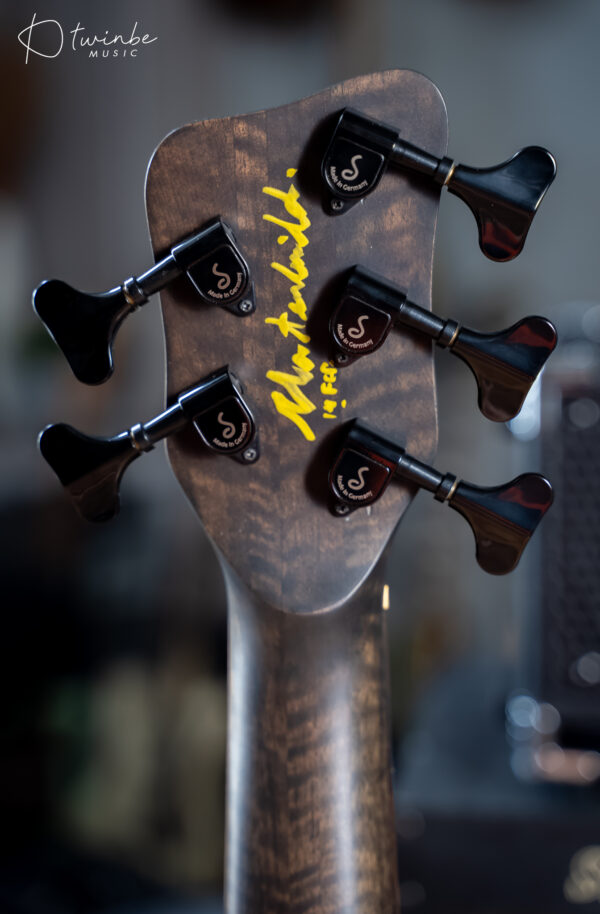 Thailand Custom Warwick Style 5 String Bass - Image 7