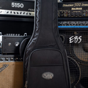 Reunion Blues Electric Guitar
