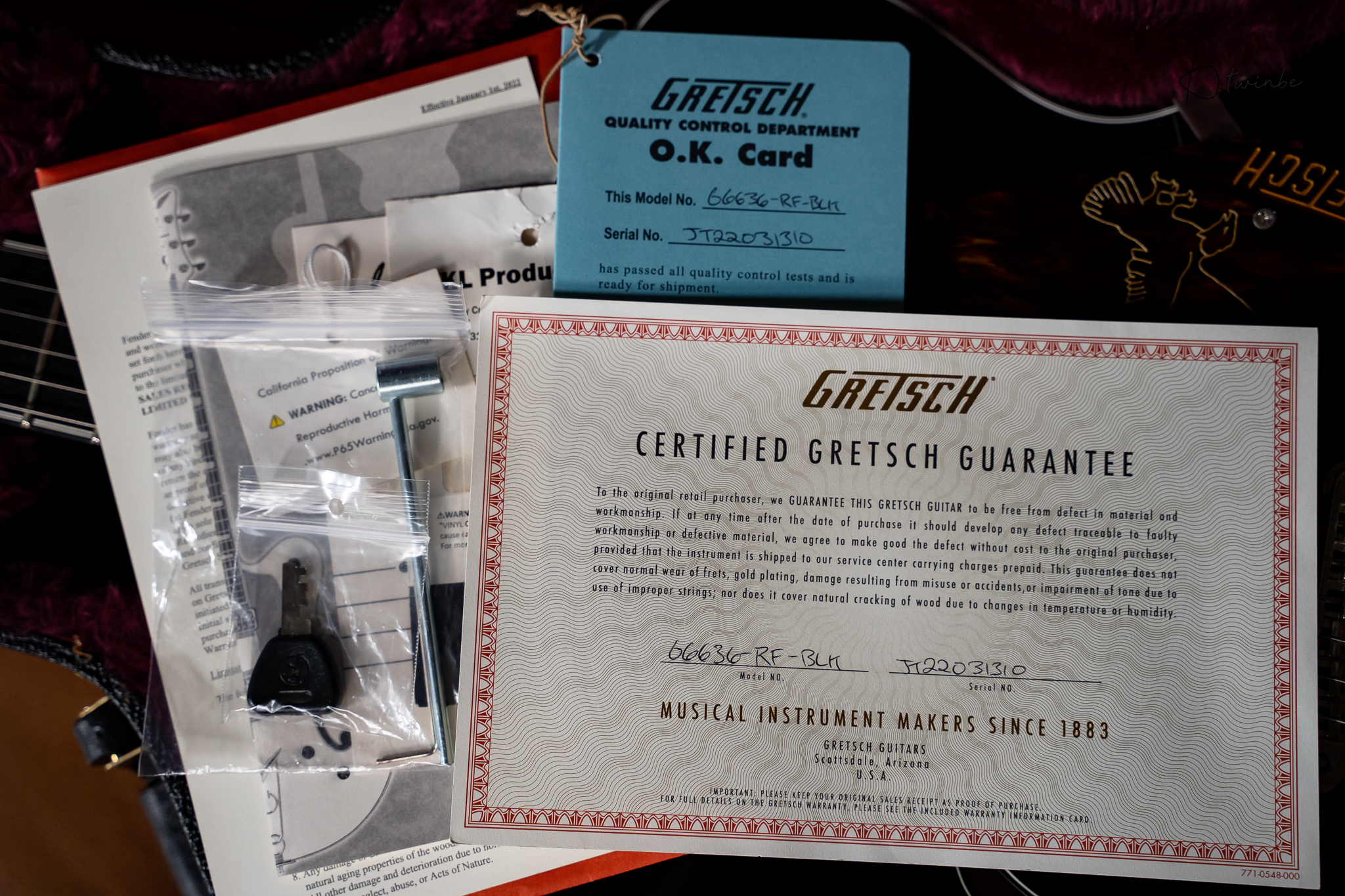 Gretsch G6636-RF Richard Fortus Signature Falcon with V-Stoptail - Image 9