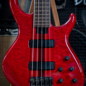 Pre-Gibson Tobias Basic 5 String Bass