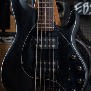 Sterling Ray35 HH Stingray 5 Bass Stealth Black