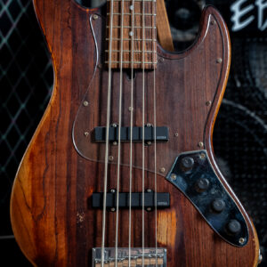 Bacchus WL-535 ASH Upgrade EMG Electronic