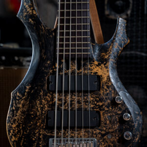 Aliceia Custom 6 String Bass