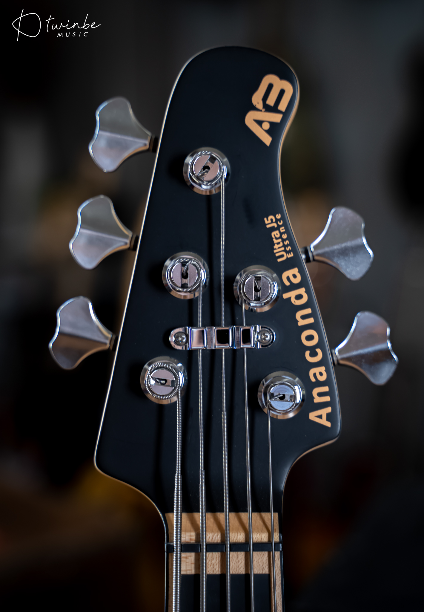 Anaconda Ultra J5 Bass - Image 4