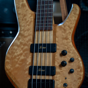 Status 5 String Bass Graphite-reinforced wood neck Series 1