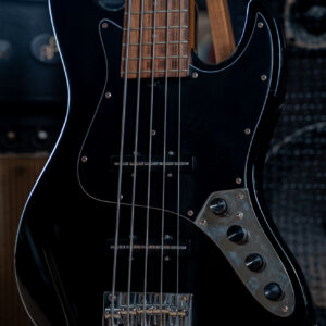 Sadowsky MetroExpress Upgrade Nordstrand and Trickfish