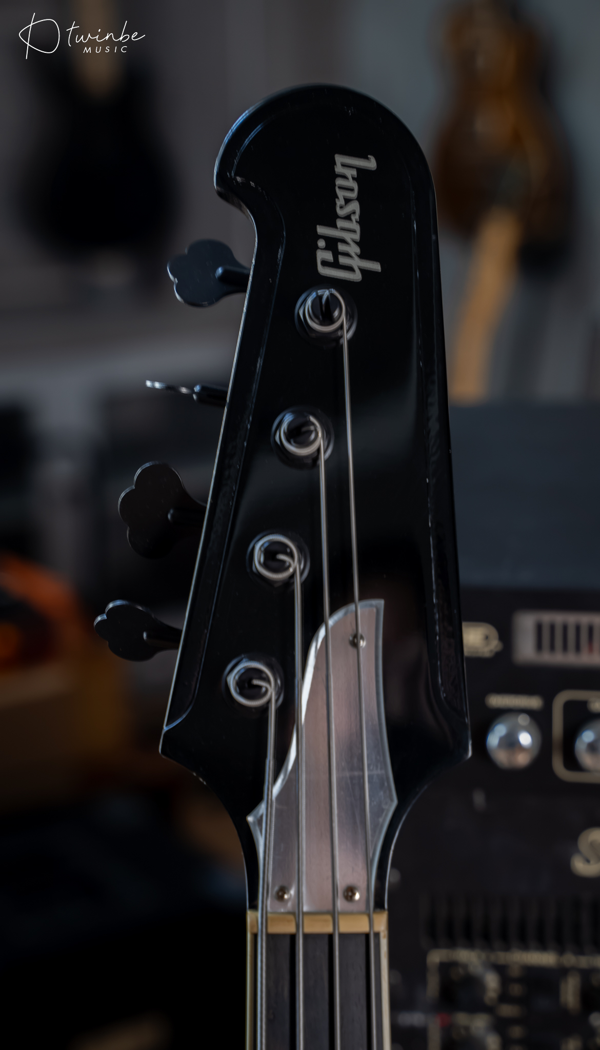 Gibson Gene Simmons G2 Thunderbird Bass - Image 4