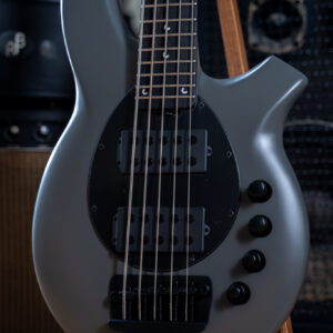 Ernie Ball Music Man Bongo 5 HH Titan Gray
