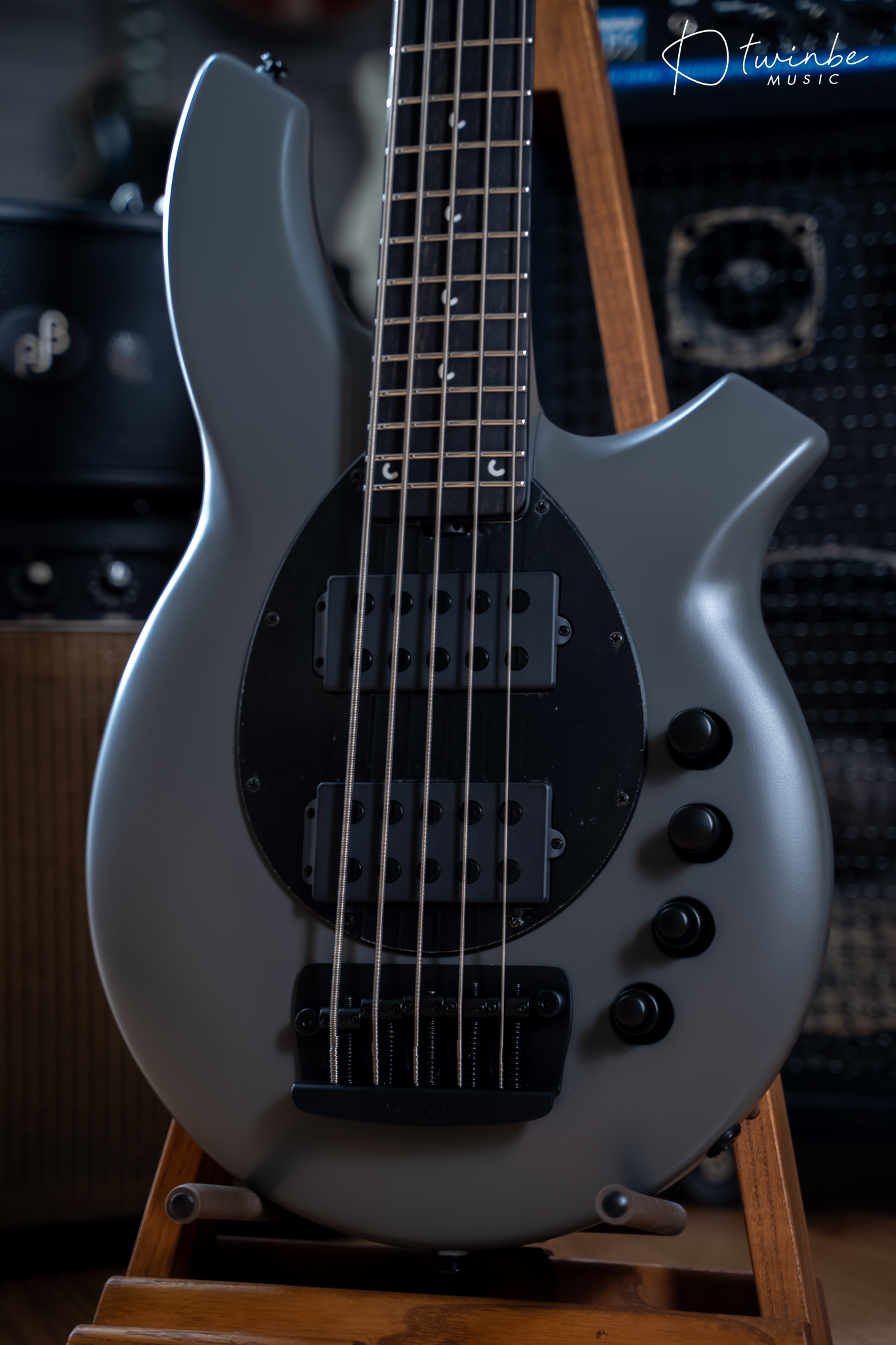 Ernie Ball Music Man Bongo 5 HH Titan Gray