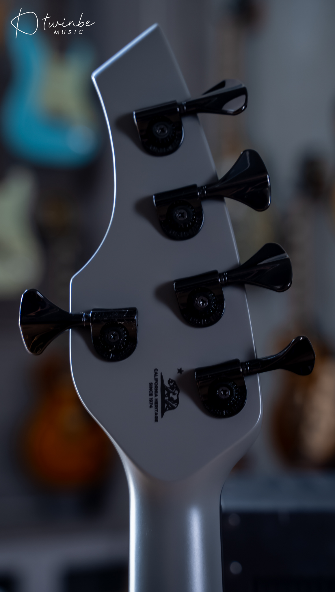 Ernie Ball Music Man Bongo 5 HH Titan Gray - Image 6